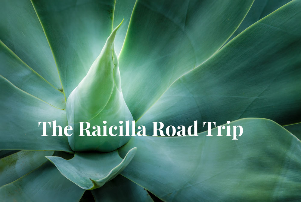 raicilla-road-trip